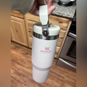 Stanley ice flow 30 oz